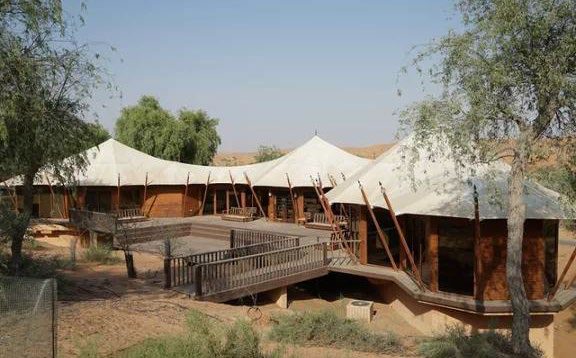 Tented villa roofs among the dunes at The Ritz-Carlton Al Wadi Desert resort